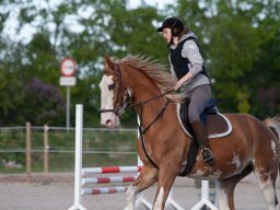 IMG_0695_web